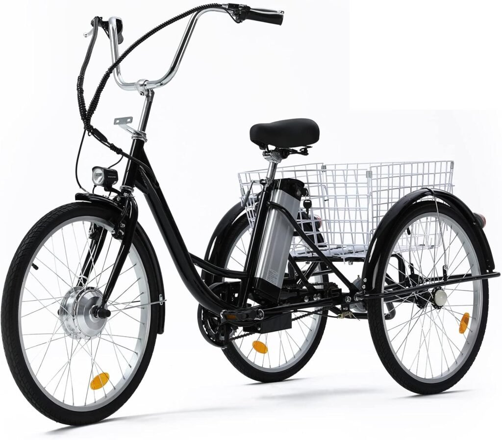 Top 10 e-Rickshaw Manufacturers in USA